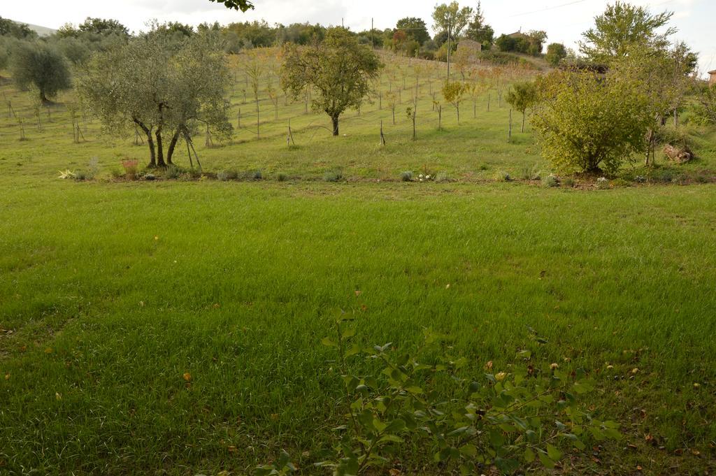 Agriturismo Riparossa Allerona Exterior foto