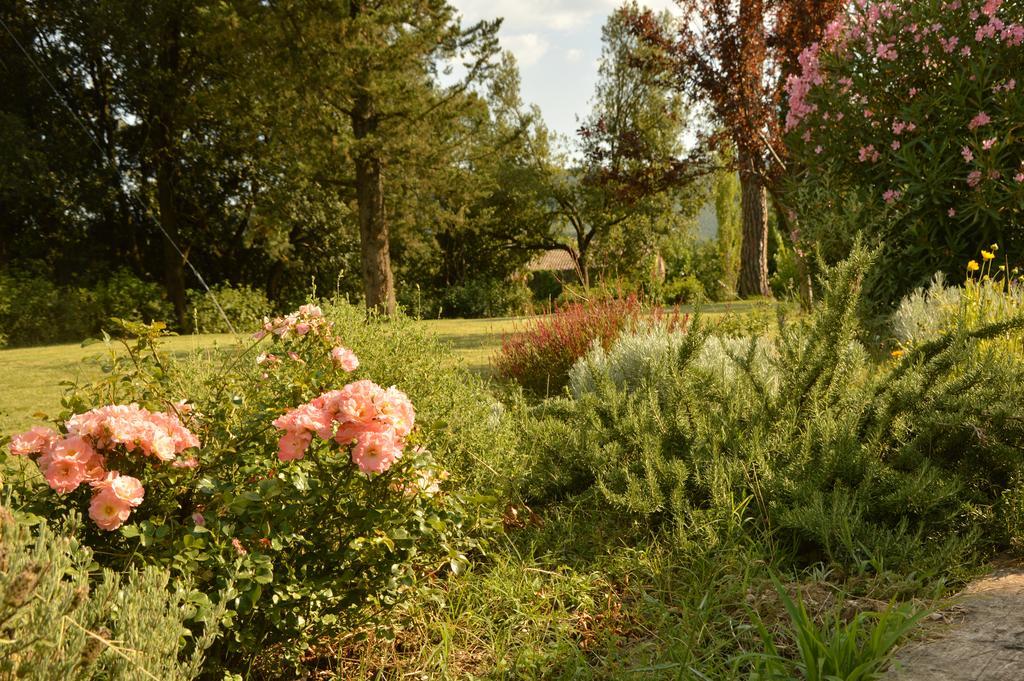 Agriturismo Riparossa Allerona Exterior foto