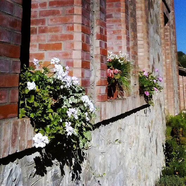 Agriturismo Riparossa Allerona Exterior foto